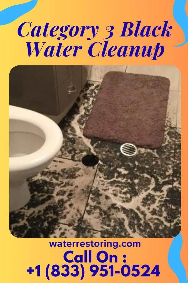 Category 3 Black Water Cleanup in Biron, WI