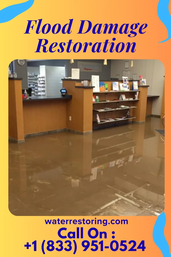 Flood Damage Restoration in Biron, WI