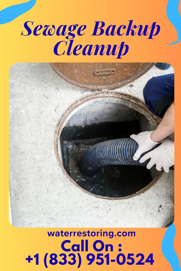 Sewage Backup Cleanup in Biron, WI