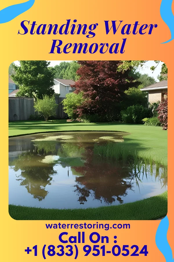 Standing Water Removal in Biron, WI